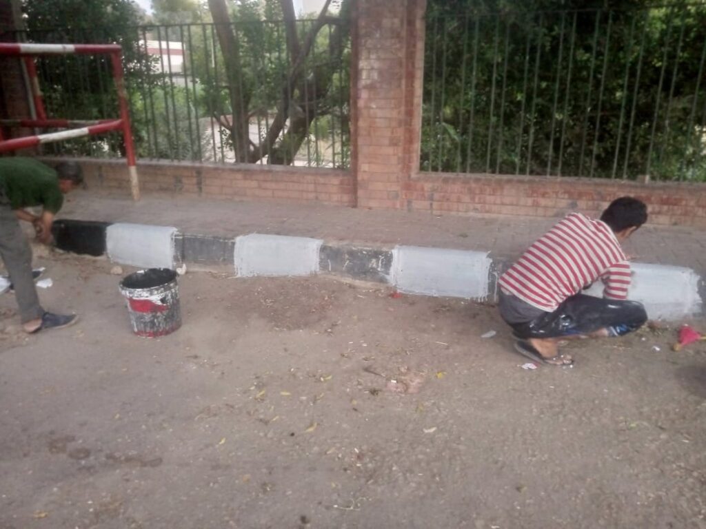 مدينة صدفا
