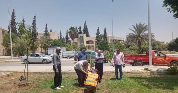 بدء زراعة 3500 شجره مُثمرة بأحياء مدينة الشروق