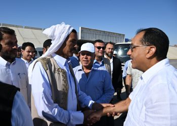 الأراضي البديلة