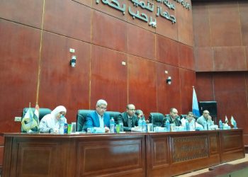 النوبارية الجديدة