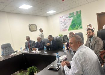 الهيدروجين الأخضر