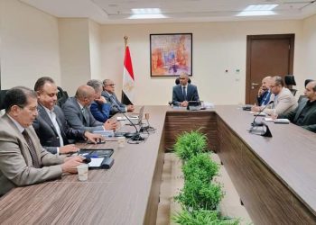 د. سيد إسماعيل يستعرض جهود نجاح الشراكة بين القطاعين العام والخاص