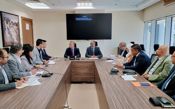 مواسير حديد الدكتايل