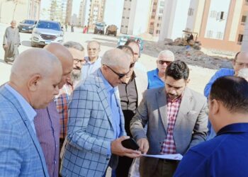 المهندس أمين غنيم