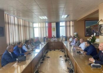 جهاز دمياط الجديدة