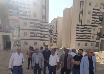 المهندس أمين غنيم