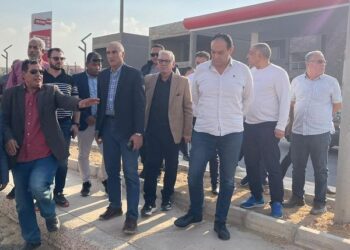 المهندس أمين غنيم