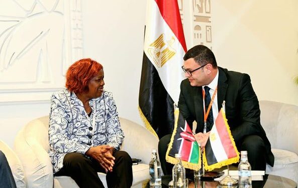 وزير الإسكان يعرض التجربة العمرانية المصرية على نظيرته الكينية