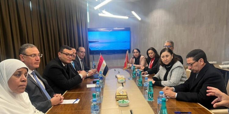 الشربيني: مصر مستعدة لمشاركة خبراتها مع أشقائنا بتونس 1 الشربيني