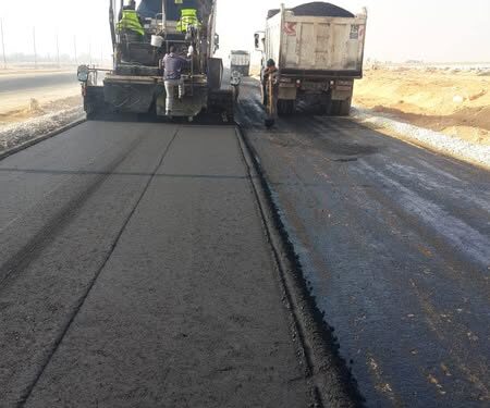 سغنكس الجديدة