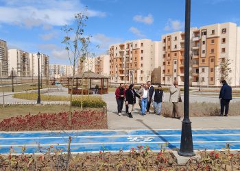 المهندس محمد عبدالمقصود