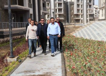 المهندس محمد مصطفى