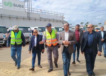 د. سيد إسماعيل