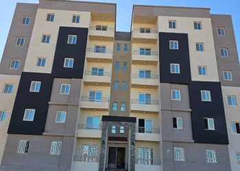 المهندس محمد عبدالمقصود