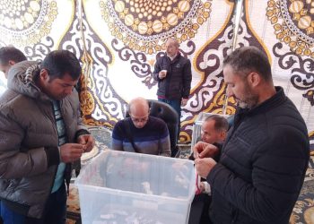 وحدات جنة بالقاهرة الجديدة