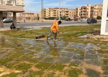 المهندس محمد مصطفى