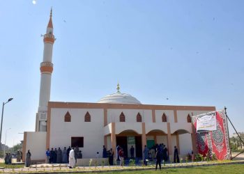 المهندس مصطفى سعيد