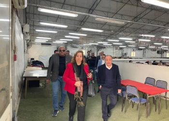 مي عبدالحميد