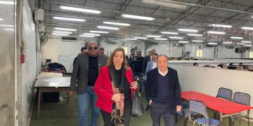 مي عبدالحميد