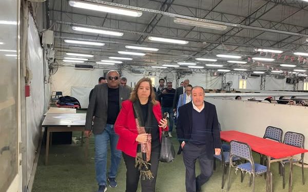 مي عبدالحميد