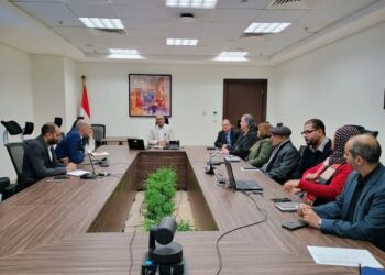 المشروعات المستقبلية