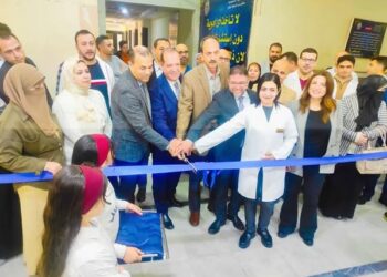 النوبارية الجديدة