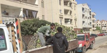 طريق حسن علام