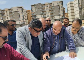 مشروع ديارنا