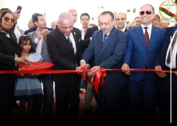 هيئة النيابة الإدارية