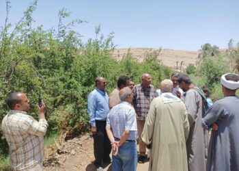 مزارعي الرمان