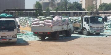 توريد القمح