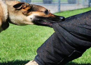 منطقة الرحاب