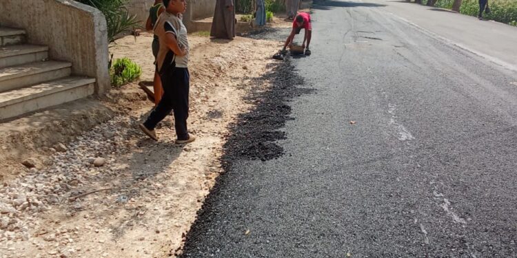 طريق أبنوب بني محمديات