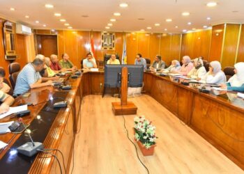 محافظ أسيوط