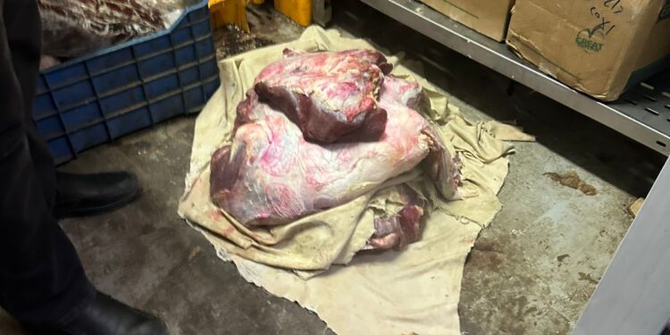 ضبط 3 أطنان لحوم فاسدة خلال اغسطس2025 1 لحوم فاسدة