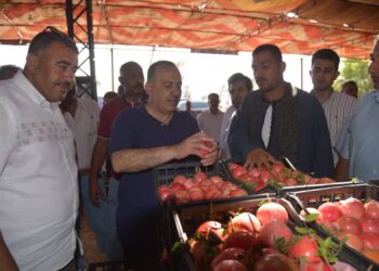 تجهيز الرمان