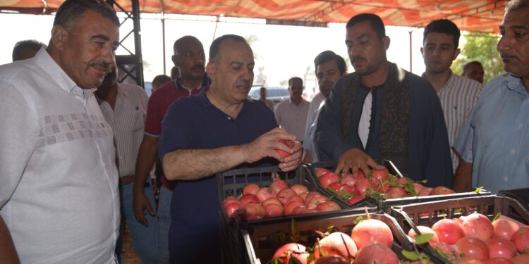 تجهيز الرمان